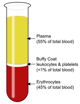 Blood Plasma