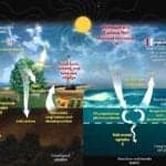 Carbon Cycle Steps