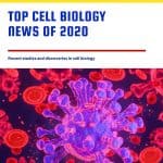 Cell Biology News 2020