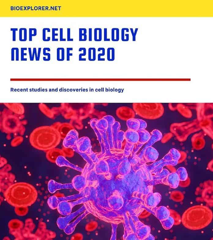 Cell Biology News 2020