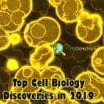 Cell Biology Discoveries in 2019