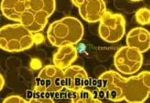 Cell Biology Discoveries in 2019