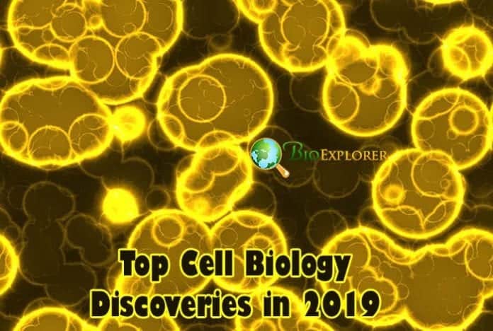 Cell Biology Discoveries in 2019