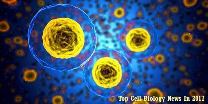 Top Cell Biology News In 2017