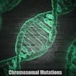 Chromosomal Mutations