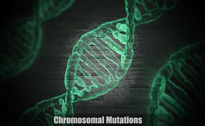 Chromosomal Mutations