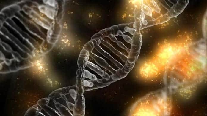 Chromosome Nondisjuction