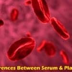 Differences between Serum and Plasma