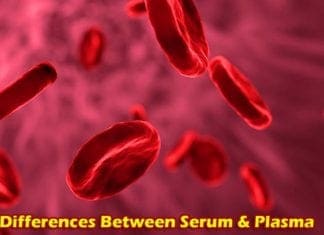 Differences between Serum and Plasma