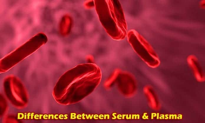 Differences between Serum and Plasma