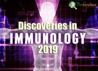 Discoveries in Immunology 2019