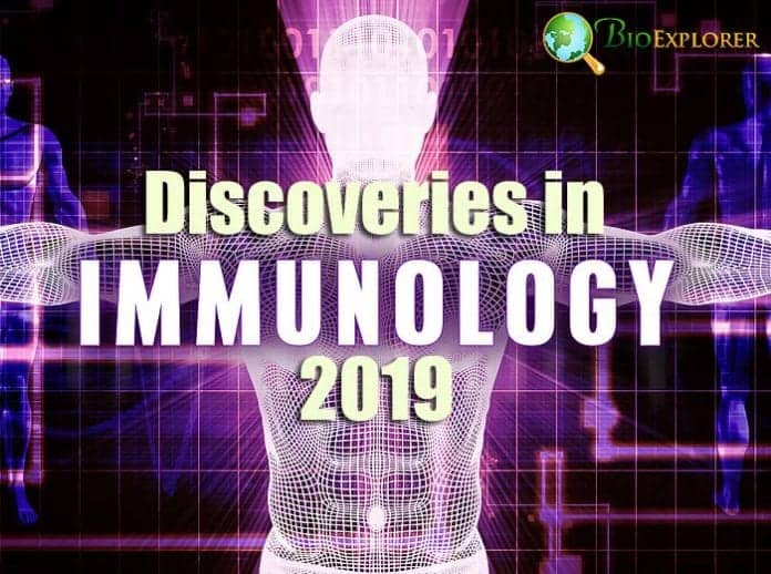 Discoveries in Immunology 2019