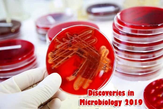 Latest Discoveries In Microbiology 2019