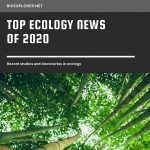 Ecology News 2020