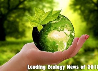 Ecology News in 2018