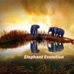 Elephant Evolution