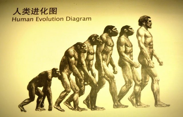 History of Evolution