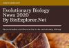 Evolutionary Biology News of 2020