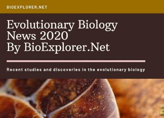 Evolutionary Biology News of 2020