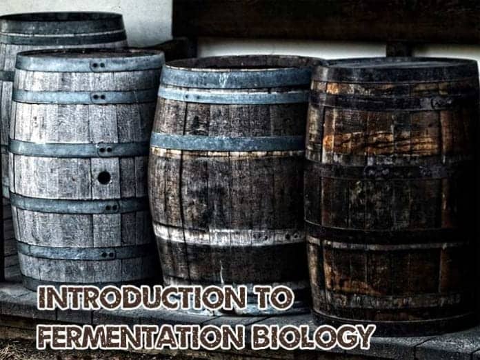 Fermentation Biology