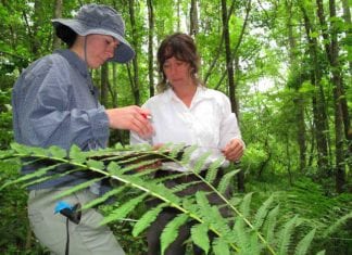 Field Biologist