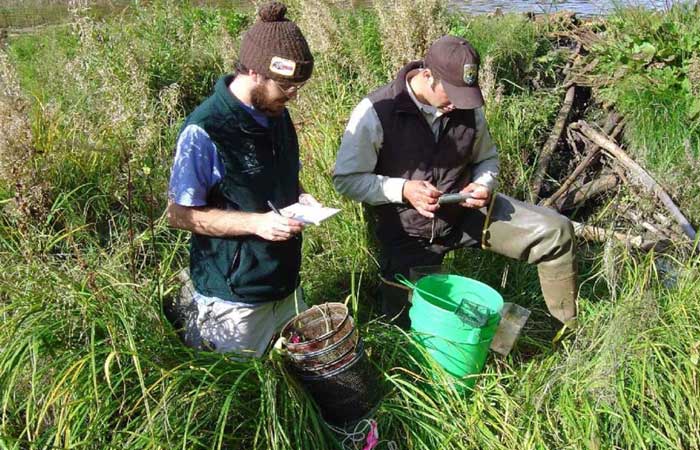 Field Biologists