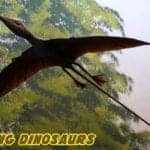 Flying Dinosaurs