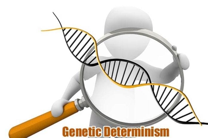 Genetic Determinism