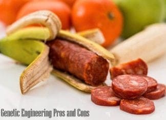 Genetic Engineering Pros and Cons