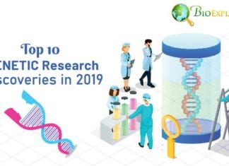 Genetics Discoveries of 2019