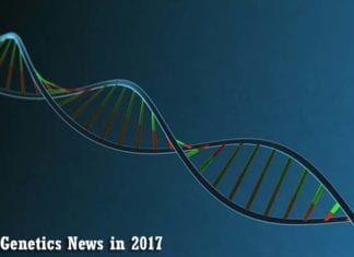 Genetics News 2017