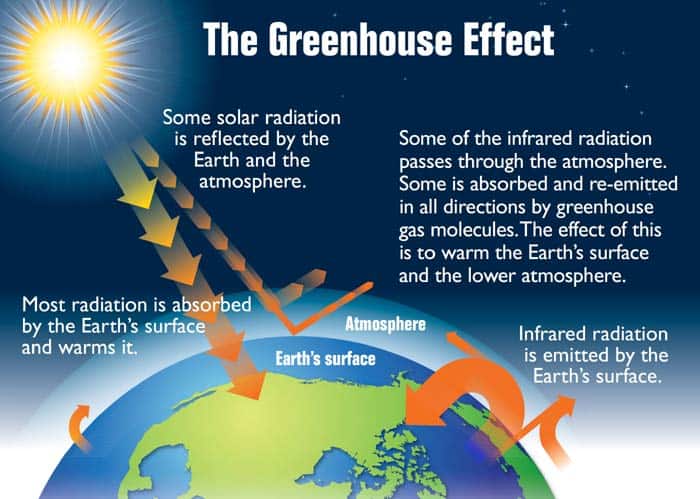 Greenhouse Effects