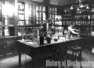 History of Biochemistry