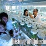 history of biotechnology