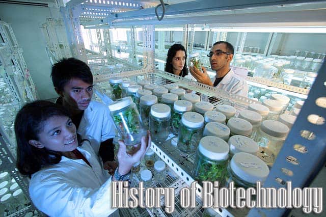 history of biotechnology