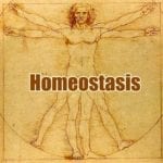 Homeostasis