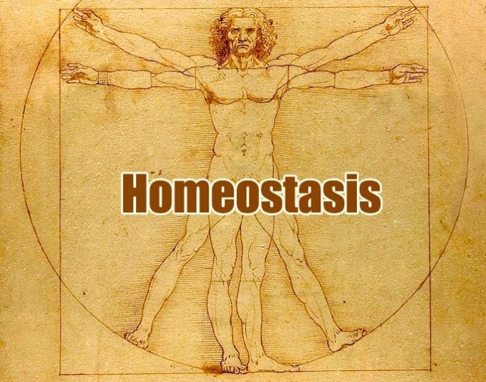 Homeostasis