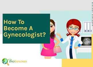 How to become a gynecologist?