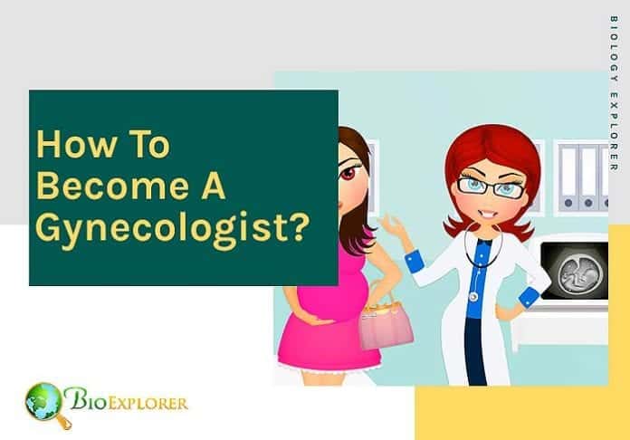 How to become a gynecologist?