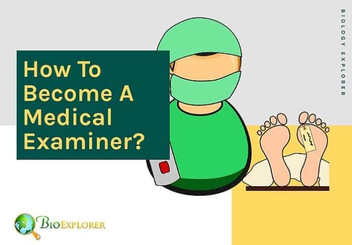 How to become a medical examiner?