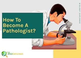 How to become a pathologist?