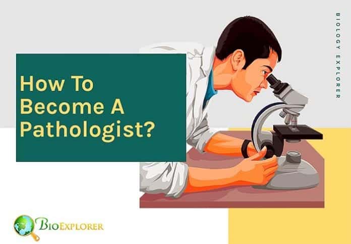 How to become a pathologist?