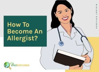 How to become allergist?