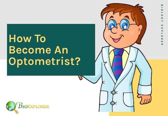 How to become an optometrist?