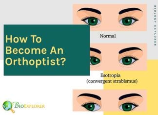 How to become an orthoptist?