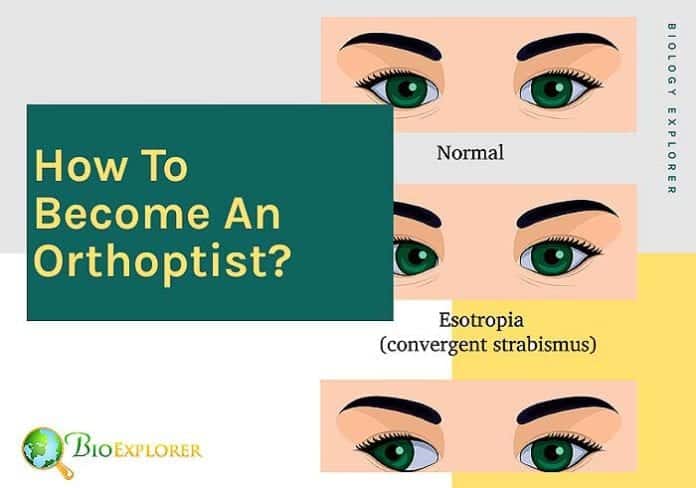 How to become an orthoptist?