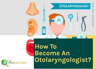 How to become an otolaryngologist?