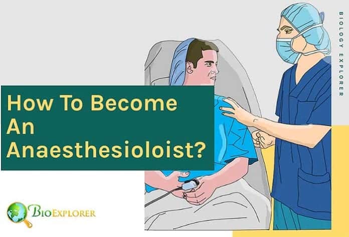 How to become an anesthesiologist?