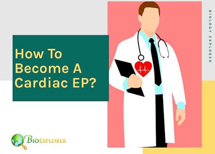 How to become a cardiac electrophysiologist?