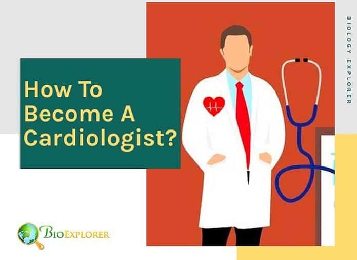 How to become a cardiologist?